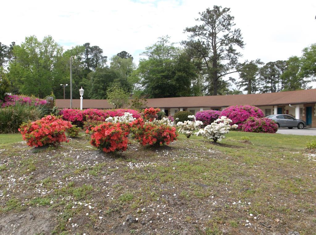 Azalea Inn & Suites Wilmington Bagian luar foto