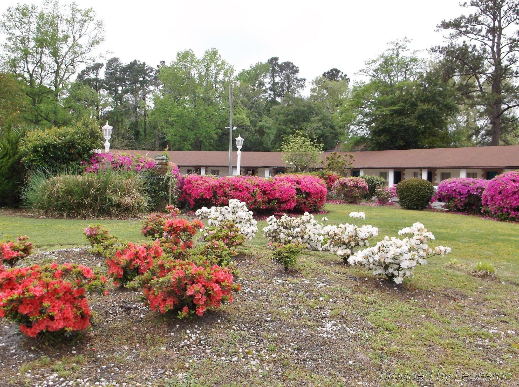 Azalea Inn & Suites Wilmington Bagian luar foto